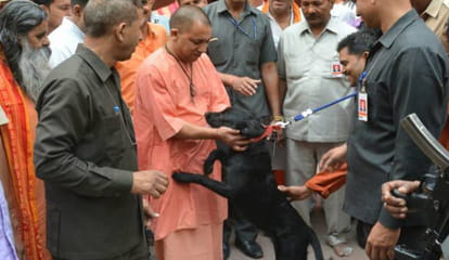 yogi adityanath second visit to gorakhpur
