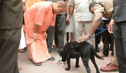 yogi adityanath second visit to gorakhpur