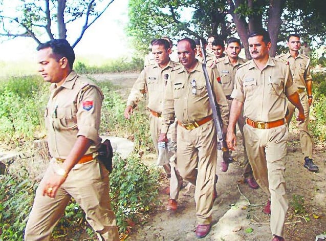 discovery of 50 Hazaris Happu in the forest