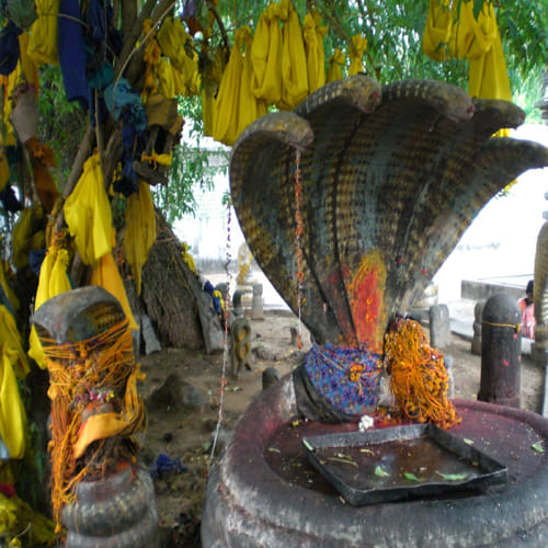 rahu kaal worship in srikalahasti temple