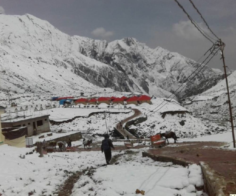 Snow fall in badrinath and kedarnath