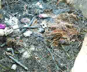Fire creates havoc in village
