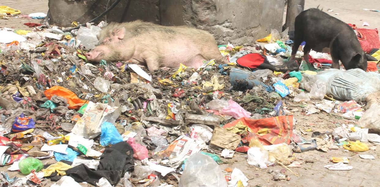 Ward for cleaning-development