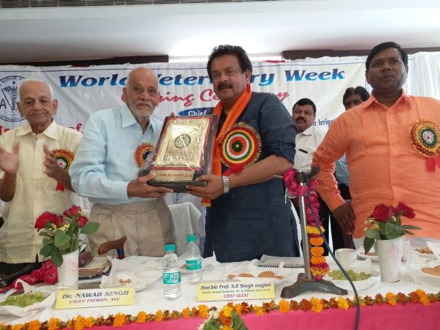 sp singh