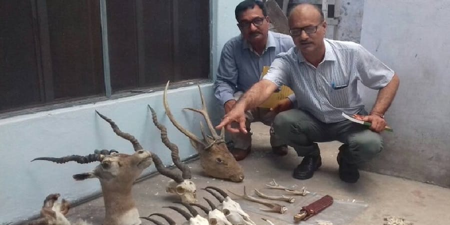 The son of Retired Colonel used to be hunting in these big states, view Photos