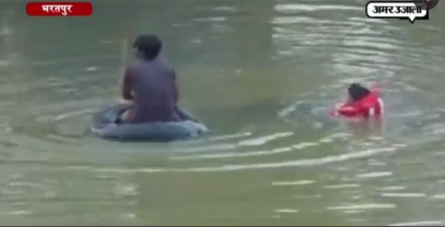 rajasthan highcourt showed satisfaction with government clarification on bharatpur incident