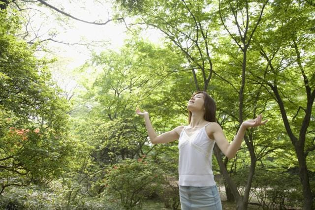 after sun and steam bath now u can enjoy forest bath 