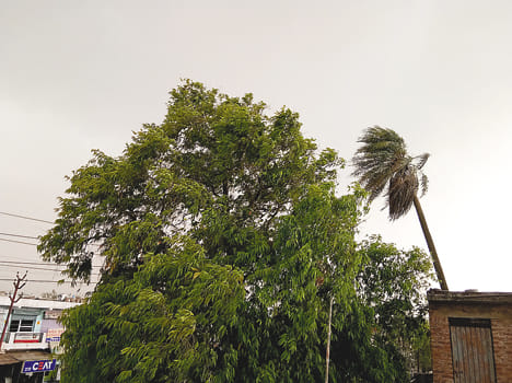 The storm triggered the power of several villages