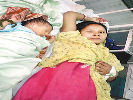 Insects found in pulses, ruckus