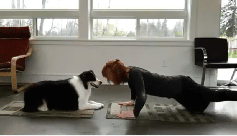 dog and owner do yoga togehter