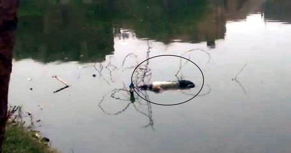  women and her 3 years daughter found from in pond