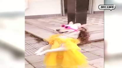 Doggy in yellow dress with pink chasma enjoying shopping goes viral