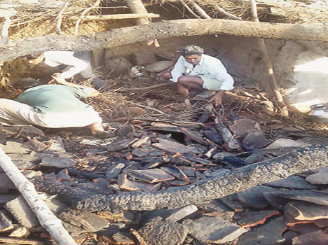 Eight houses burnt, millions of property destroyed
