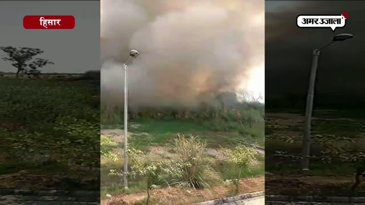 हिसार सीवरेज ट्रीटमेंट प्लांट में आग