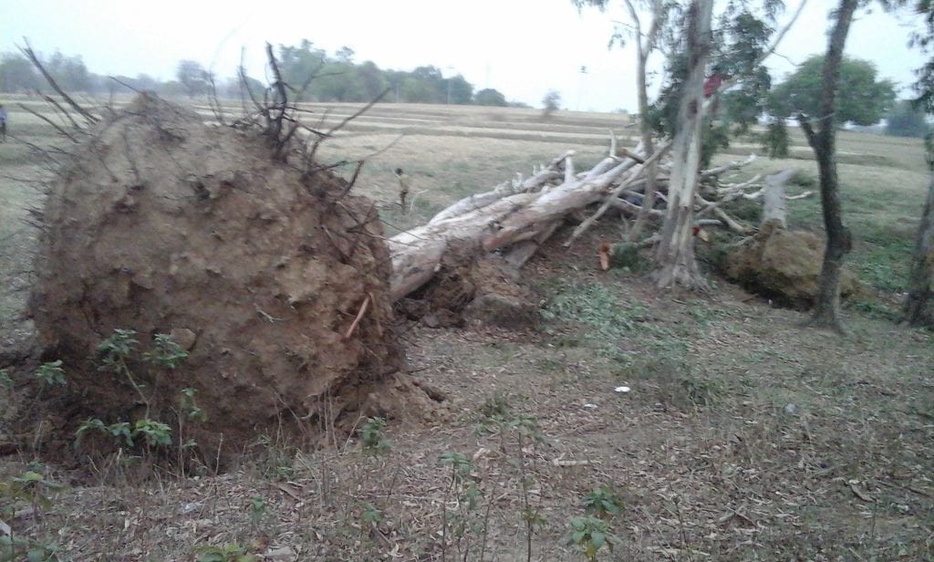 Thunderstorm devastation