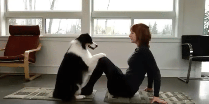 dog and owner do yoga togehter