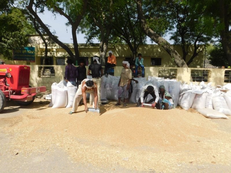 Wheat procurement at 16.56 percent in centers in a month