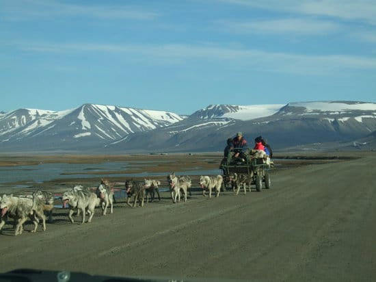 death is forbidden in longyearbyen 