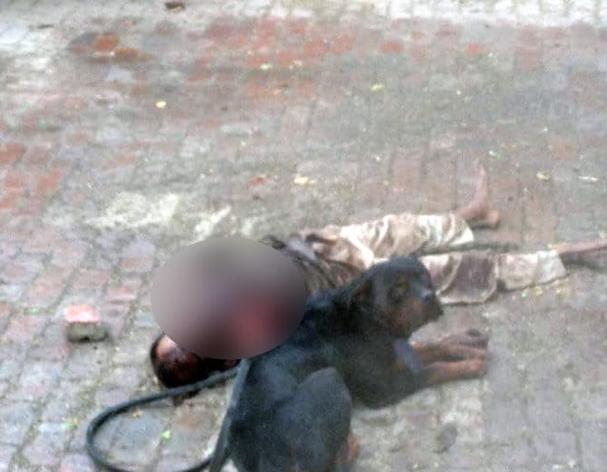 Rottweiler dog killed his care taker in Panipat
