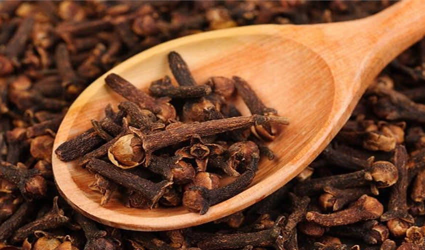 home remedies will kill roaches in home
