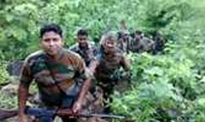 dacoit babuli gang devide 