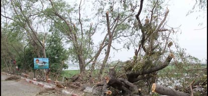 okhla sanctuary facing bad day after storm in noida 