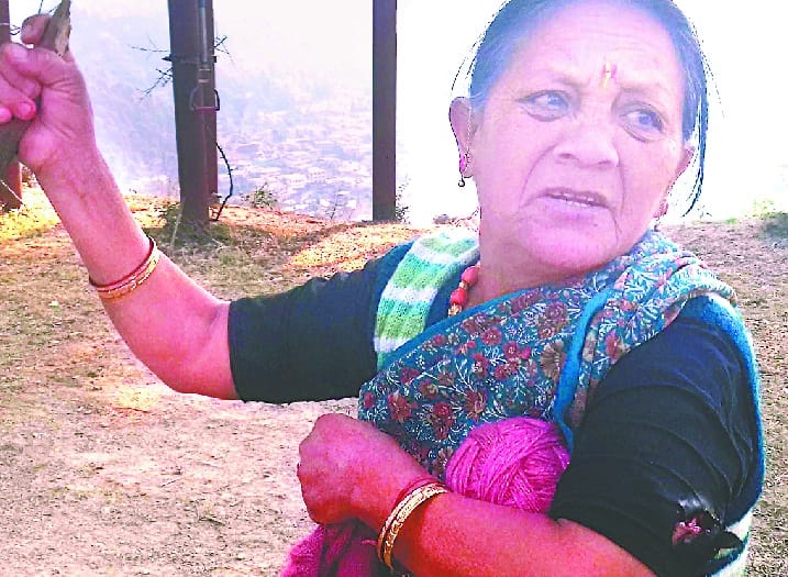 Kakhate monkeys injured elderly woman