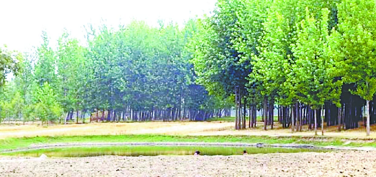 Crisis on the existence of years old pond 