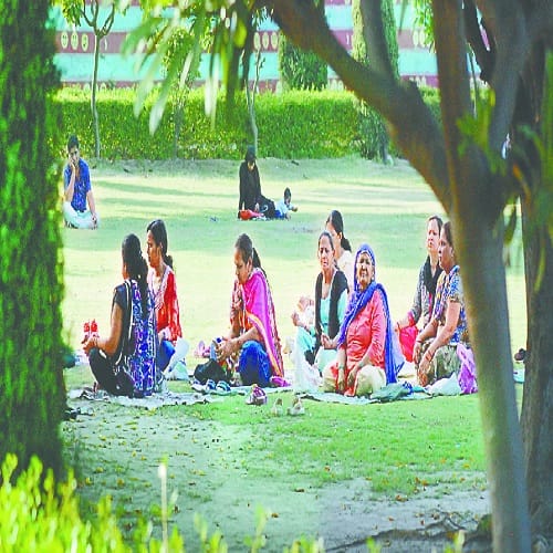 Looking at these pictures of the parks, you too will be happy, look sure