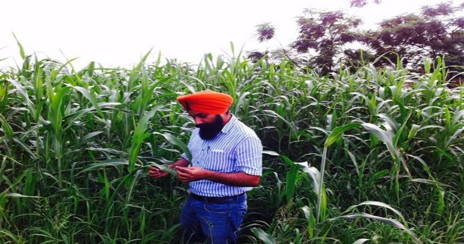  phd pass farmer sucess story