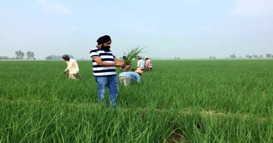  phd pass farmer sucess story