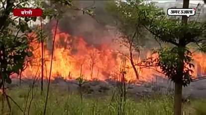 fire turns 25 acre green land into ashes