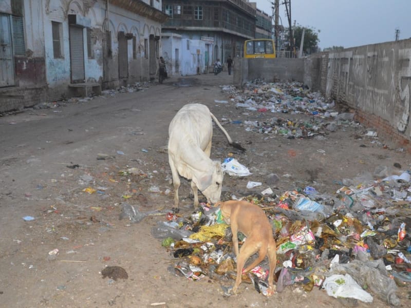 officers accepting why mathura have failed in clean city campaign
