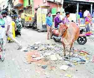 Sultanpur among most dirty cities