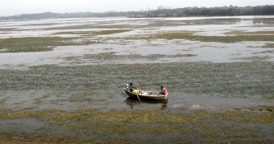 Sukhna Lake dries up, water level shrunk down by 60 percent