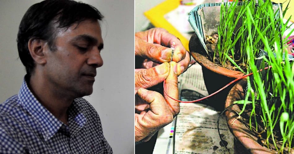 panchkula science lecturer sandeep tripathi invented technique to produce electricity from plant