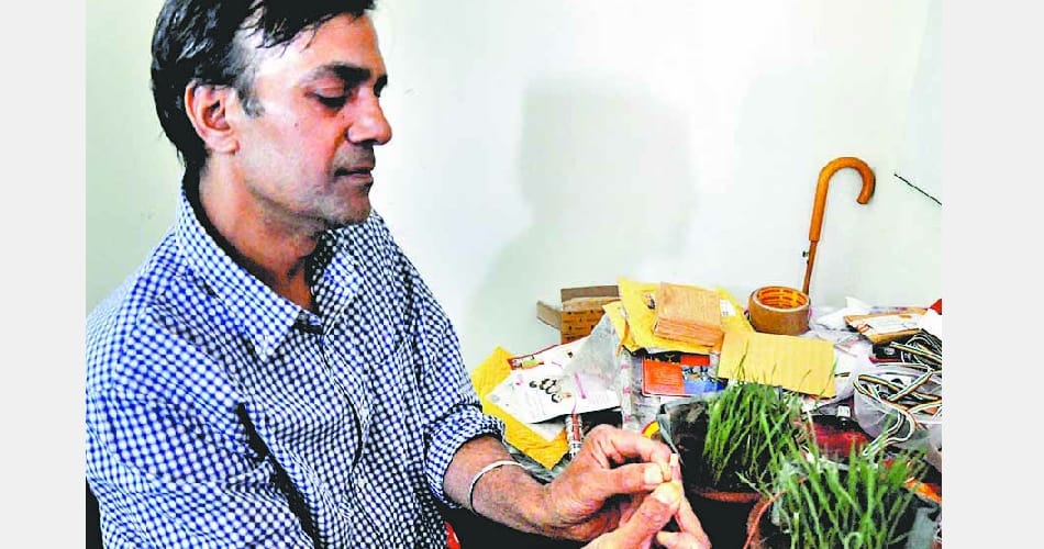 panchkula science lecturer sandeep tripathi invented technique to produce electricity from plant