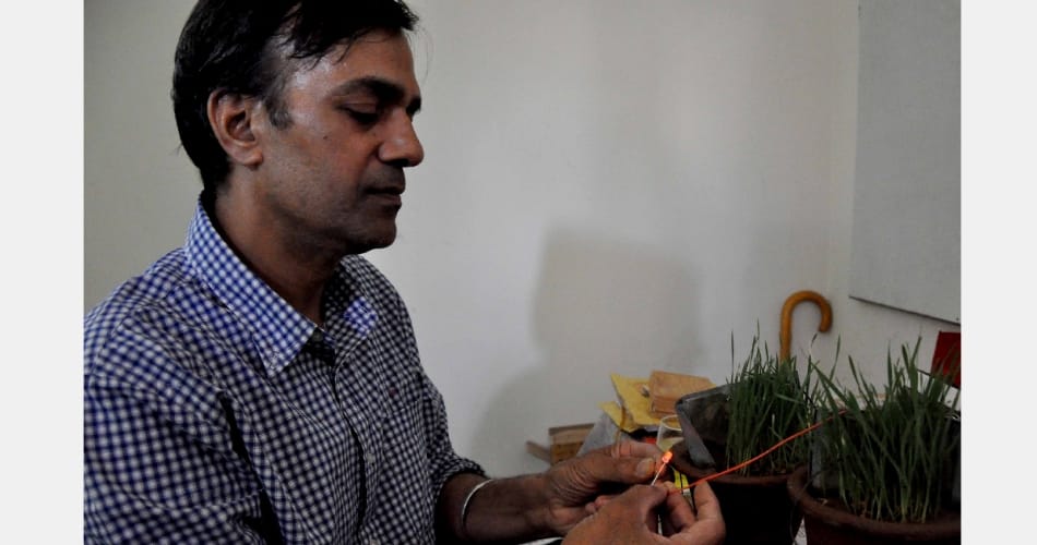 panchkula science lecturer sandeep tripathi invented technique to produce electricity from plant