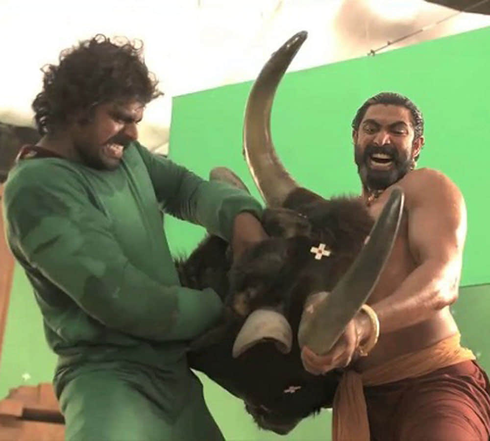 baahubali bull fight scene shot with vfx effect