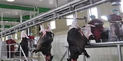 Meat vendors did application for license, it is important to know these rules of Yogi Sarkar