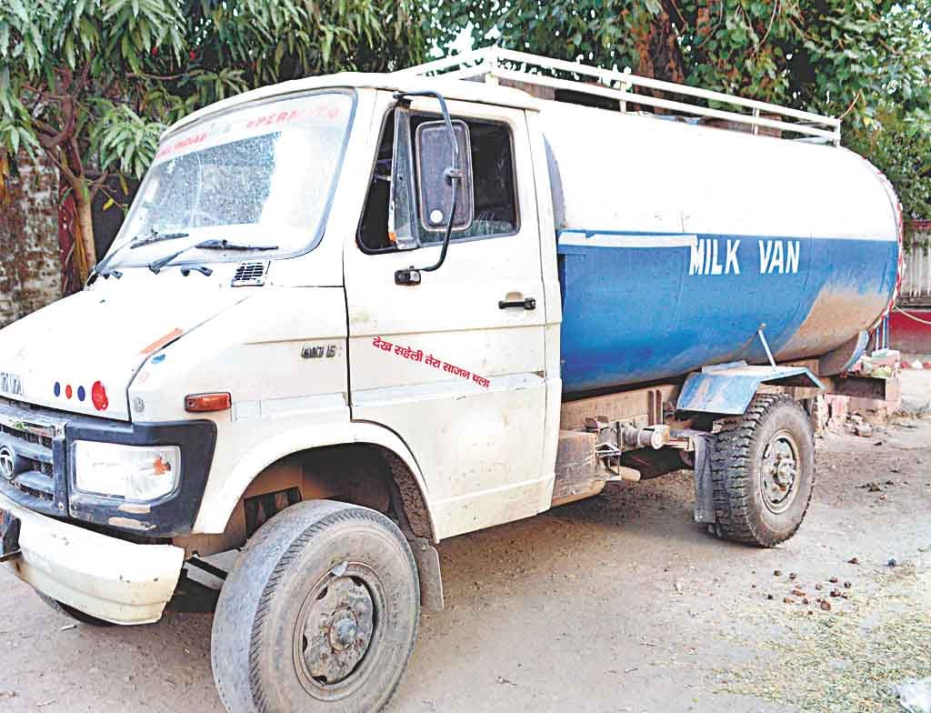 animals recovered from milk van