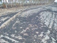 farm burn waste sixty three farmers on case, sonipat
