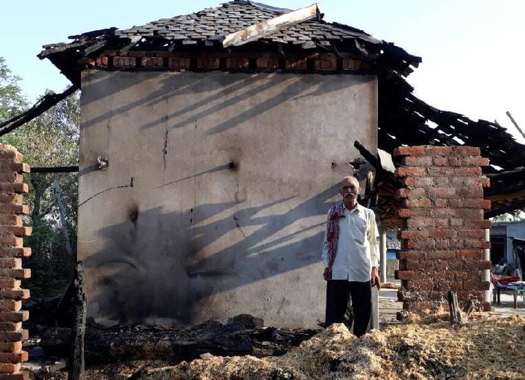 animal burnt in fire