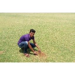 rat, football, stadiam, ground, players
