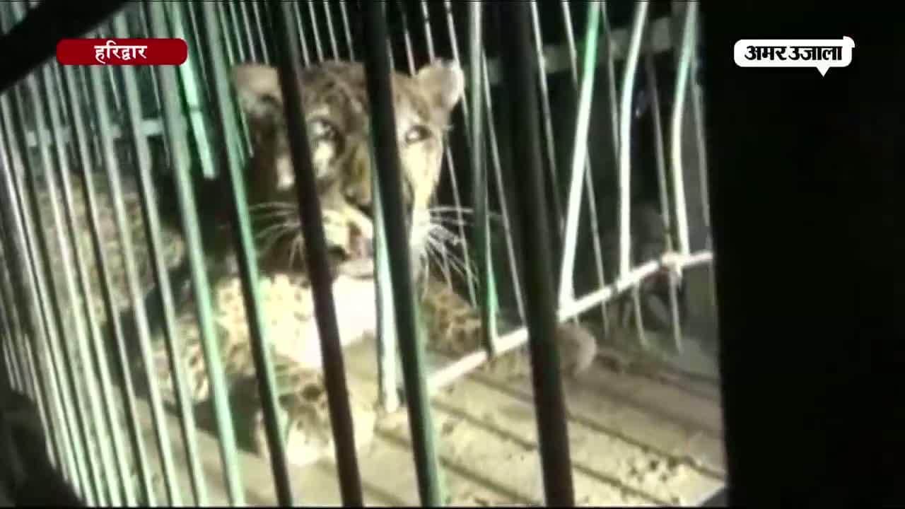 हरिद्वार