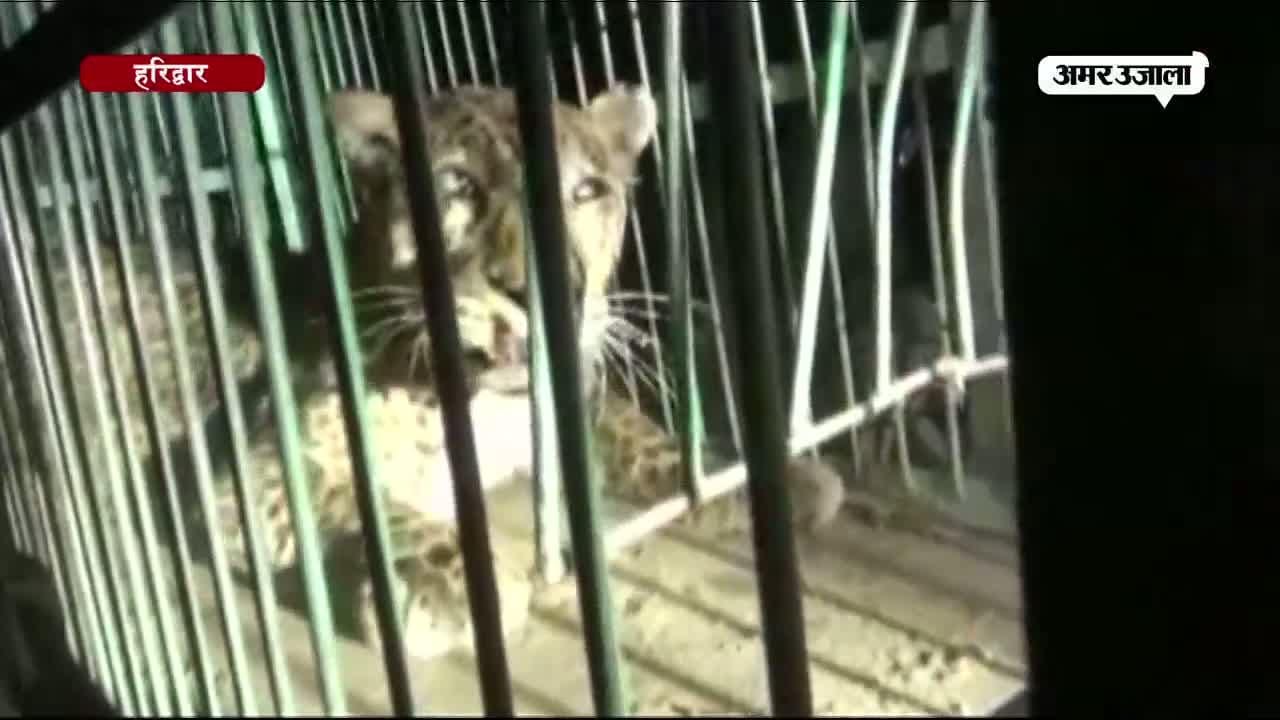 हरिद्वार