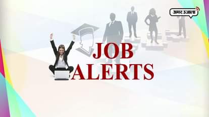 career plus 5 december 2017 government job vacancy