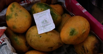 Food department raid in sector 26 sabji mandi