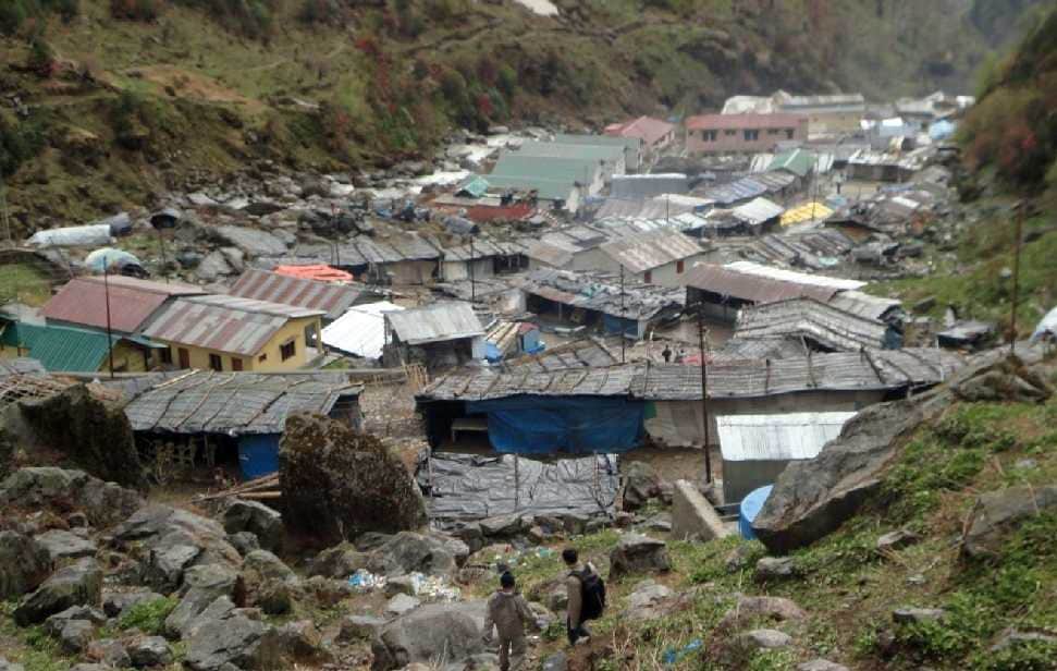 rudraksha plant destroyed in rambada after kedarnath disaster
