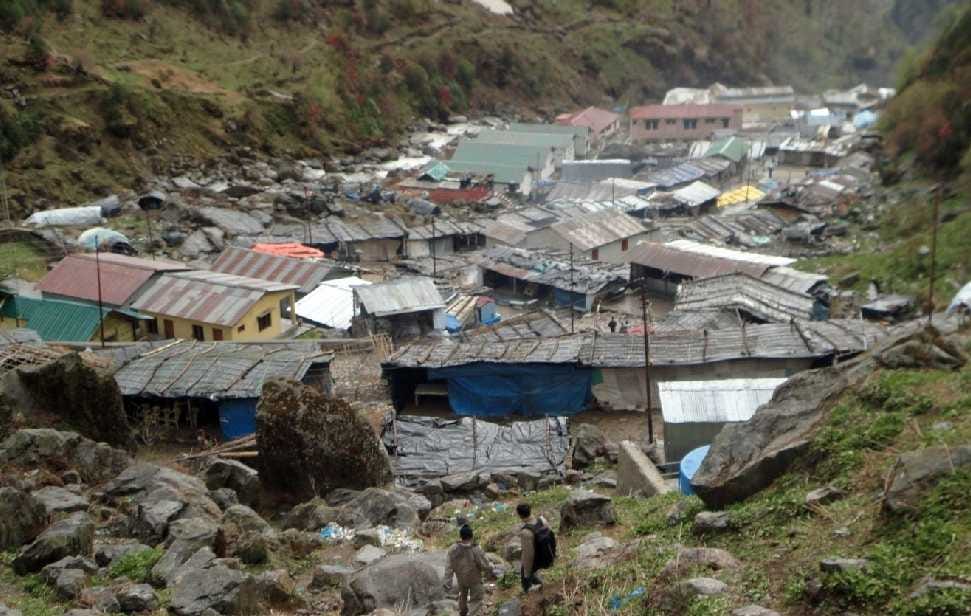 rudraksha plant destroyed in rambada after kedarnath disaster